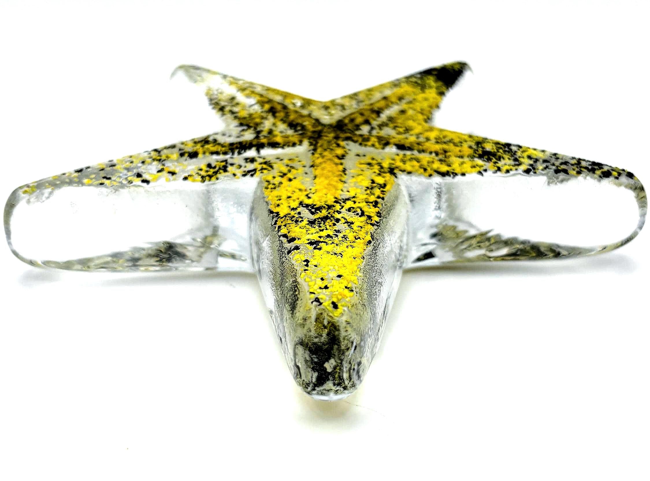 Kosta Boda, Bertil Vallien, Starfish Paperweight Sculpture | Swedish Art Glass Decor
