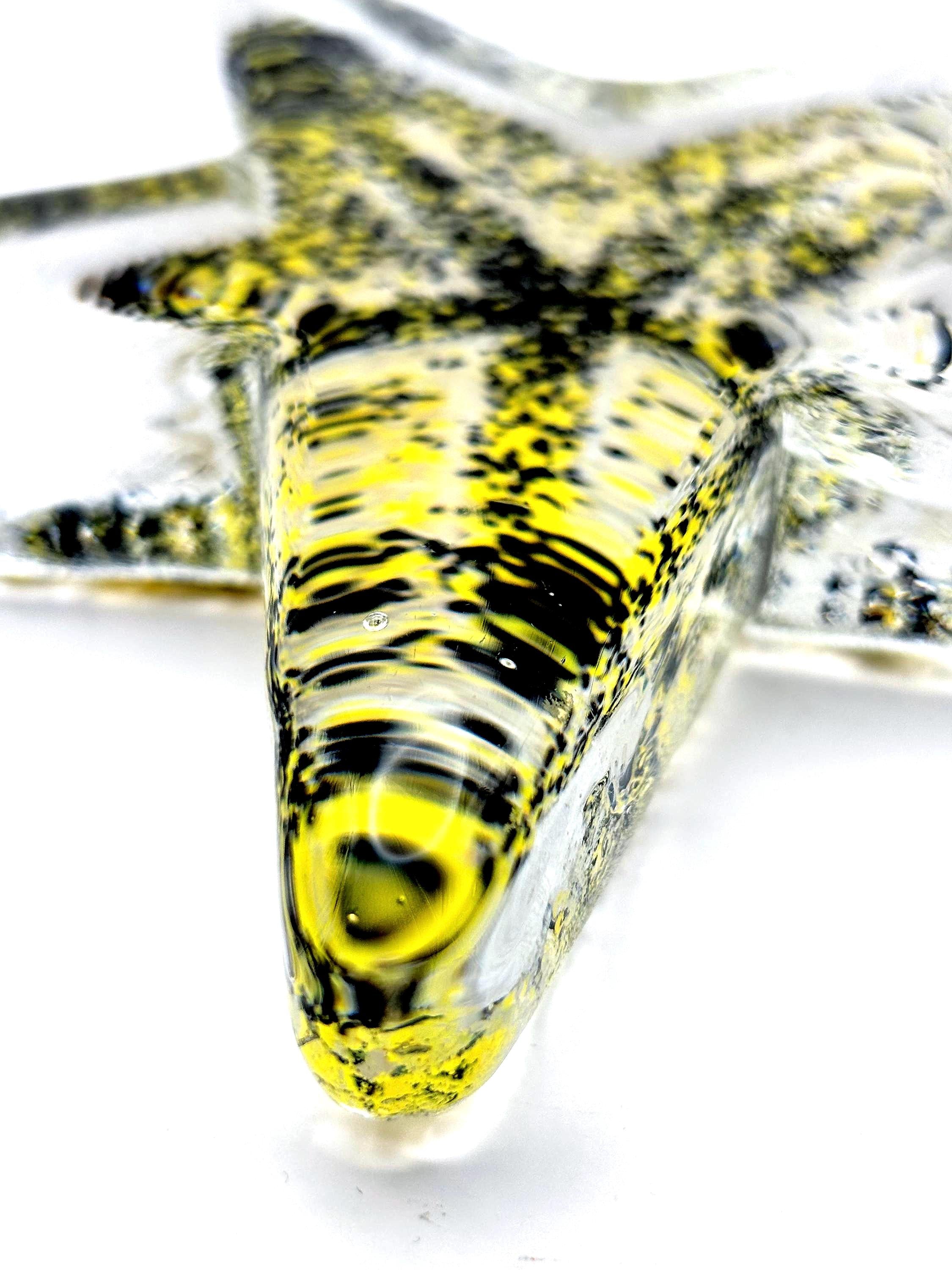 Kosta Boda, Bertil Vallien, Starfish Paperweight Sculpture | Swedish Art Glass Decor
