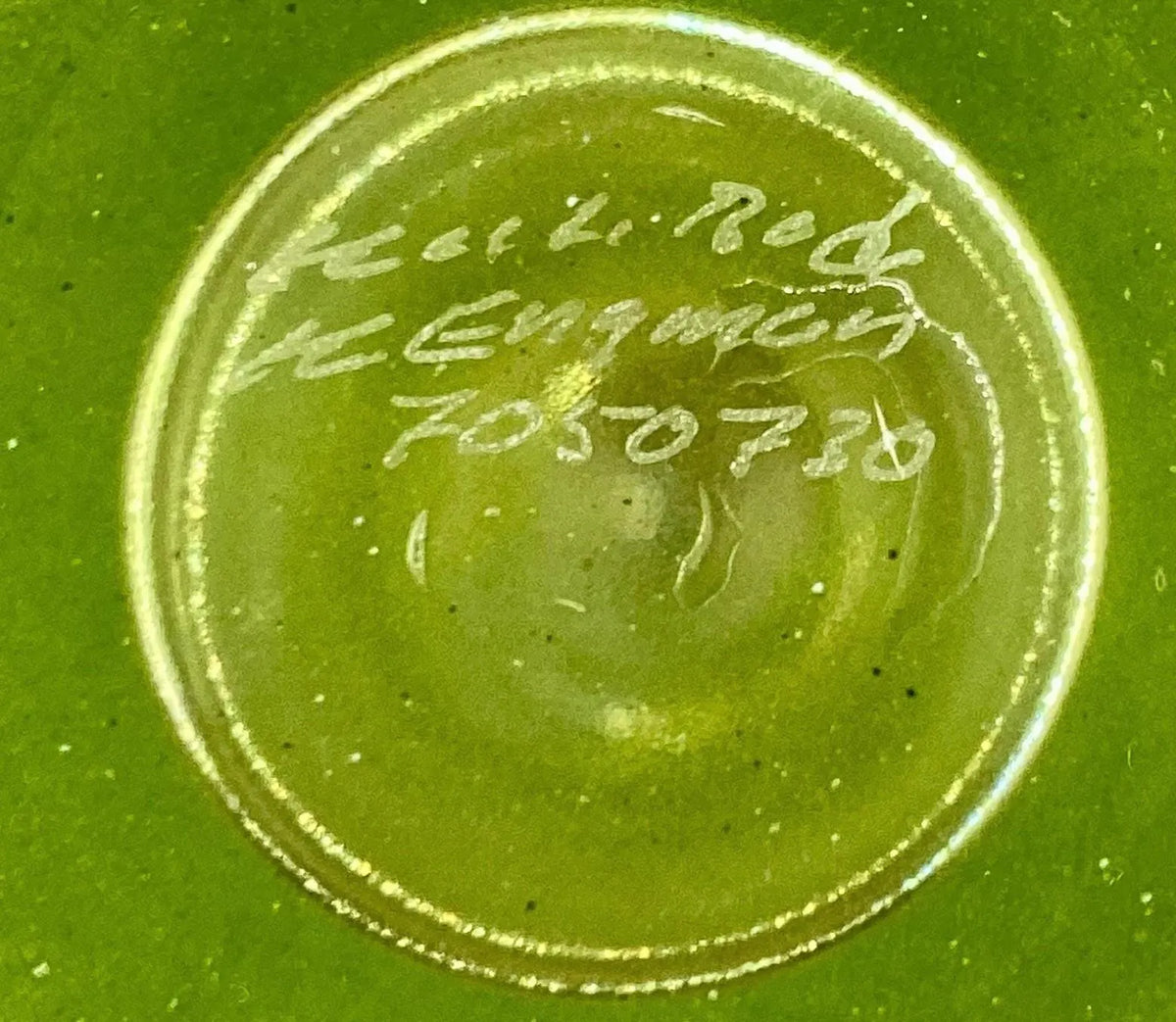 Kosta Boda Artist Choice Art Glass Centerpiece Bowl, Signed Kjell Engman Lime Green